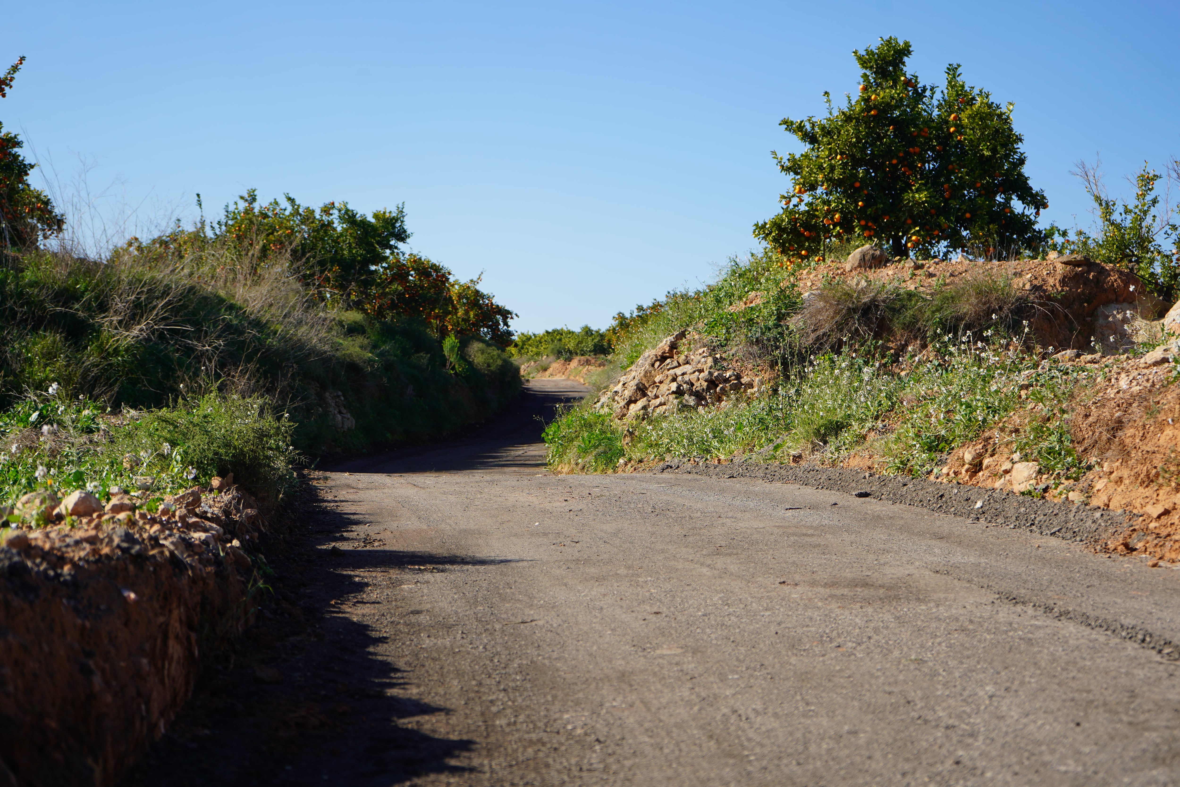 Camino en Xàtiva. Fuente: Ajuntament de Xàtiva