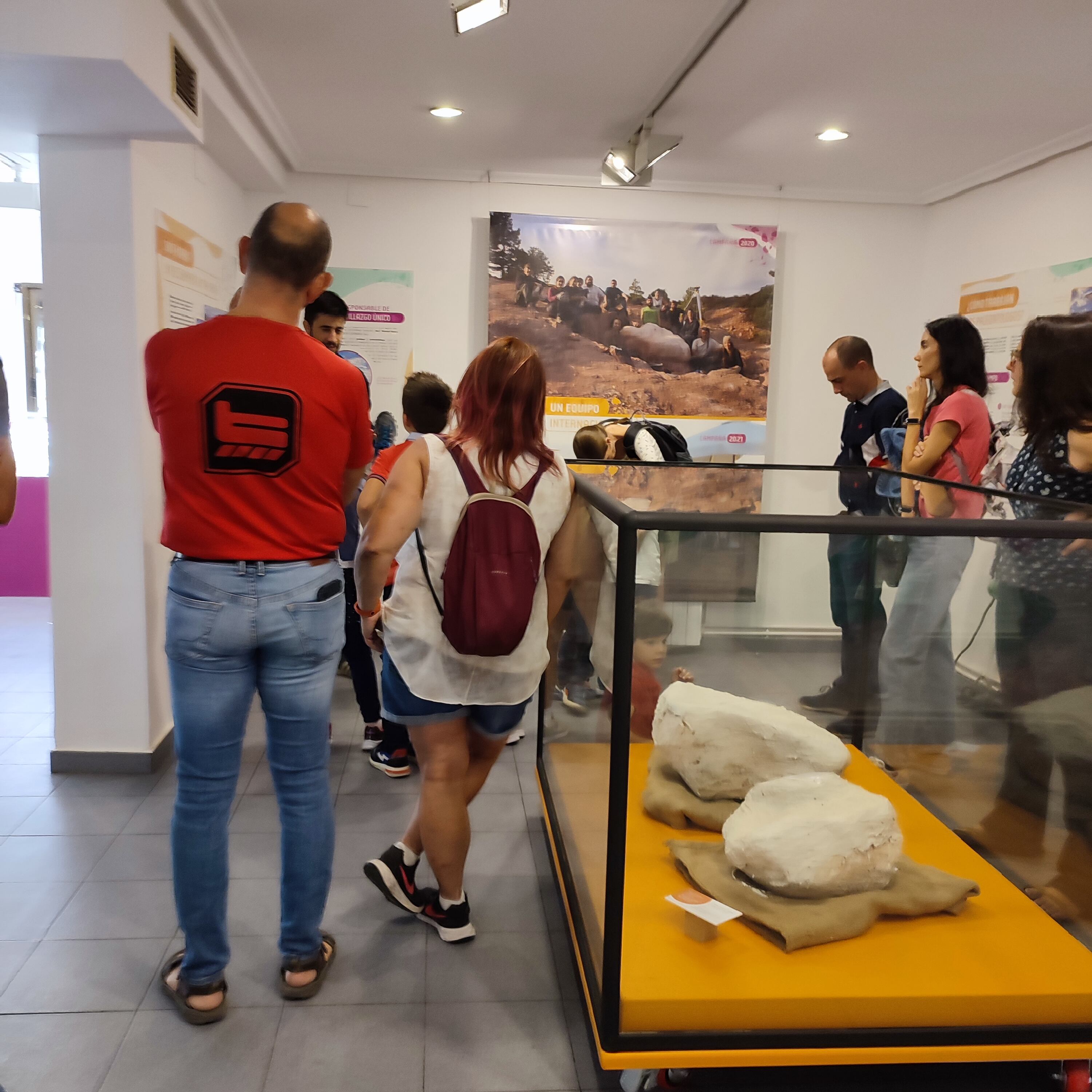 Laboratorio Paleontológico de Loarre