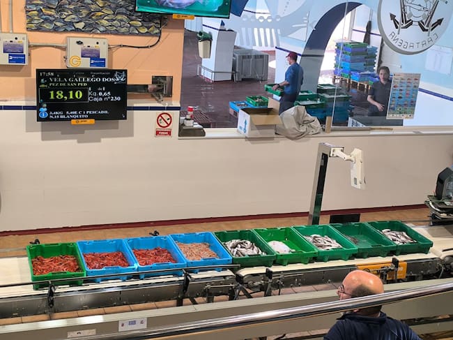 Los últimos pescadores de arrastre de Cartagena denuncian que se sienten "furtivos siendo trabajadores del mar"