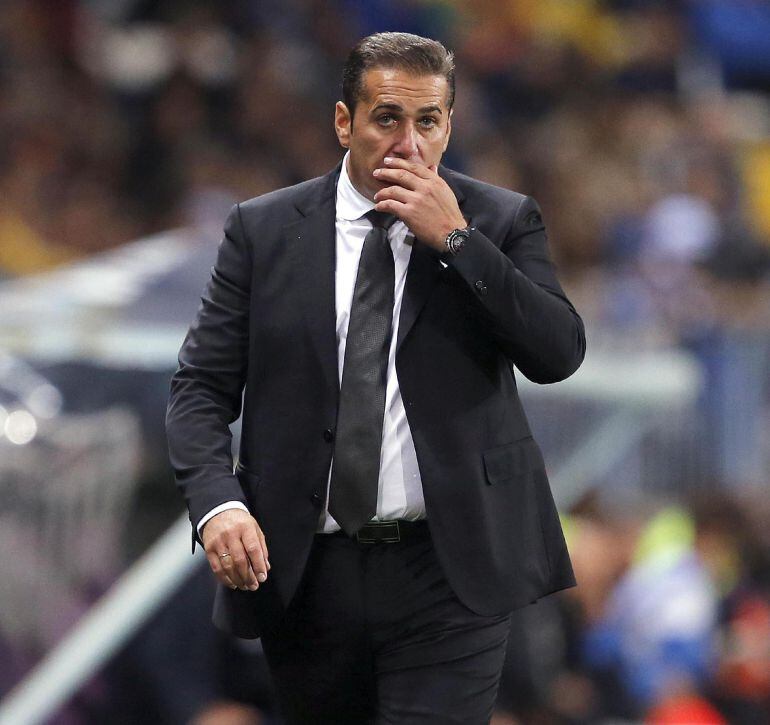 El entrenador del Granada, José Ramón Sandoval, durante el partido correspondiente a la decimotercera jornada de Liga en Primera División ante el Málaga disputado esta noche en el estadio de la Rosaleda