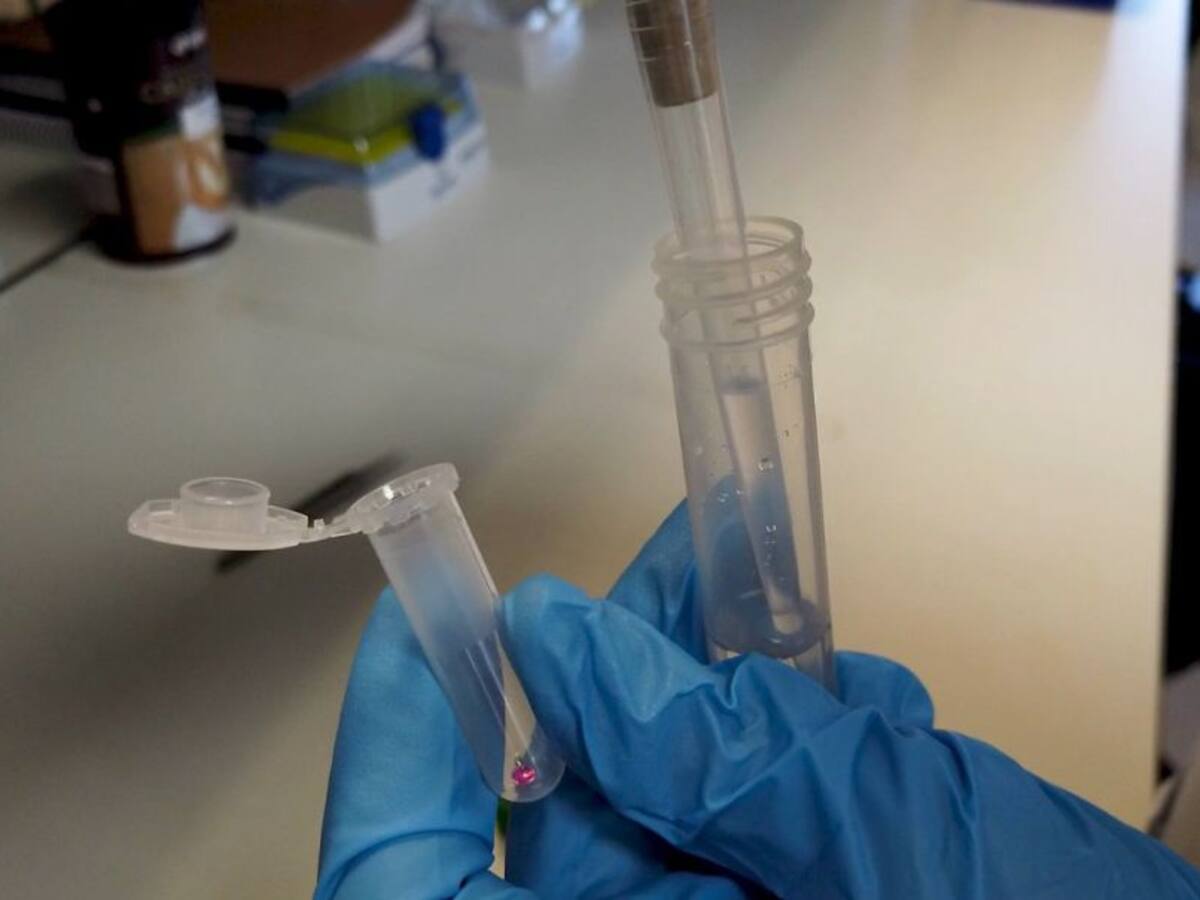 Castilla y León registra 848 nuevos positivos, 10 fallecidos más y 91 nuevas altas