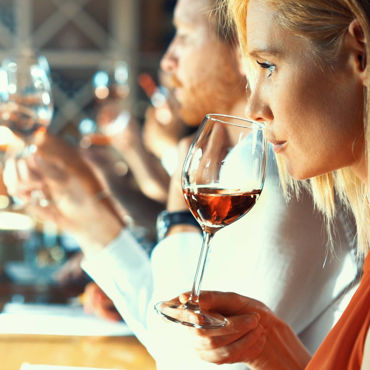 La DO Bierzo abre en Barcelona su promoción anual en ferias internacionales