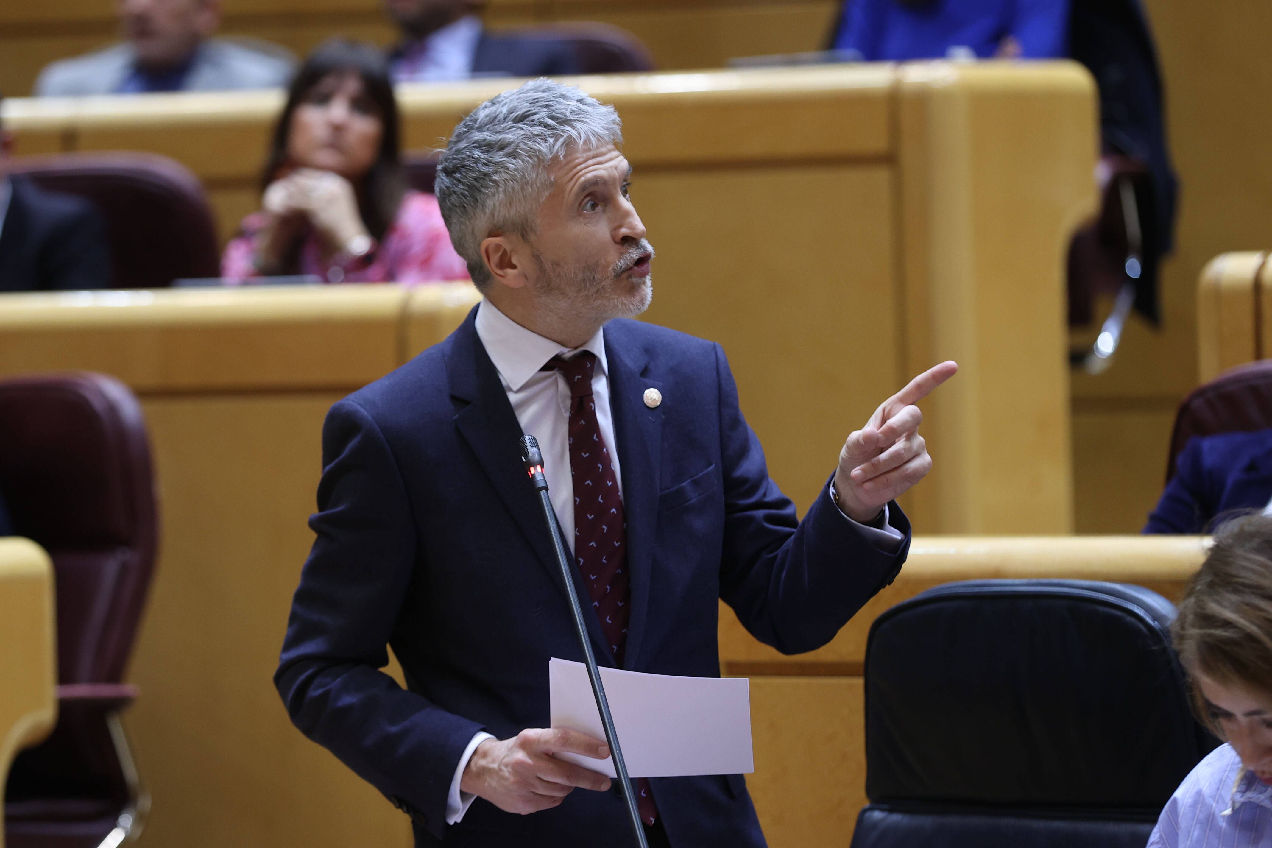 MADRID, 07/02/2023.- El ministro del Interior, Fernando Grande Marlaska interviene durante el pleno del Senado, este martes en Madrid. EFE/ Kiko Huesca