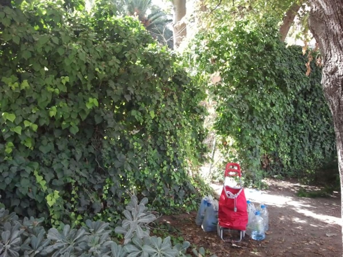 Particulares aprovechan el agujero de la valla para "colarse" y dar de comer y beber a la colonia de gatos