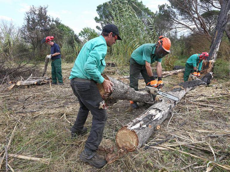 Eddy Kelele - Diputació de Girona