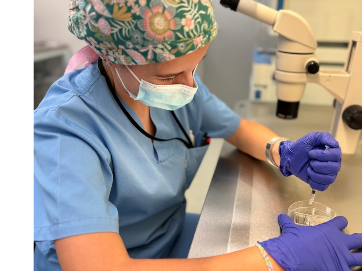 La baja calidad del semen ya está detrás de la mitad de los problemas de infertilidad en pareja