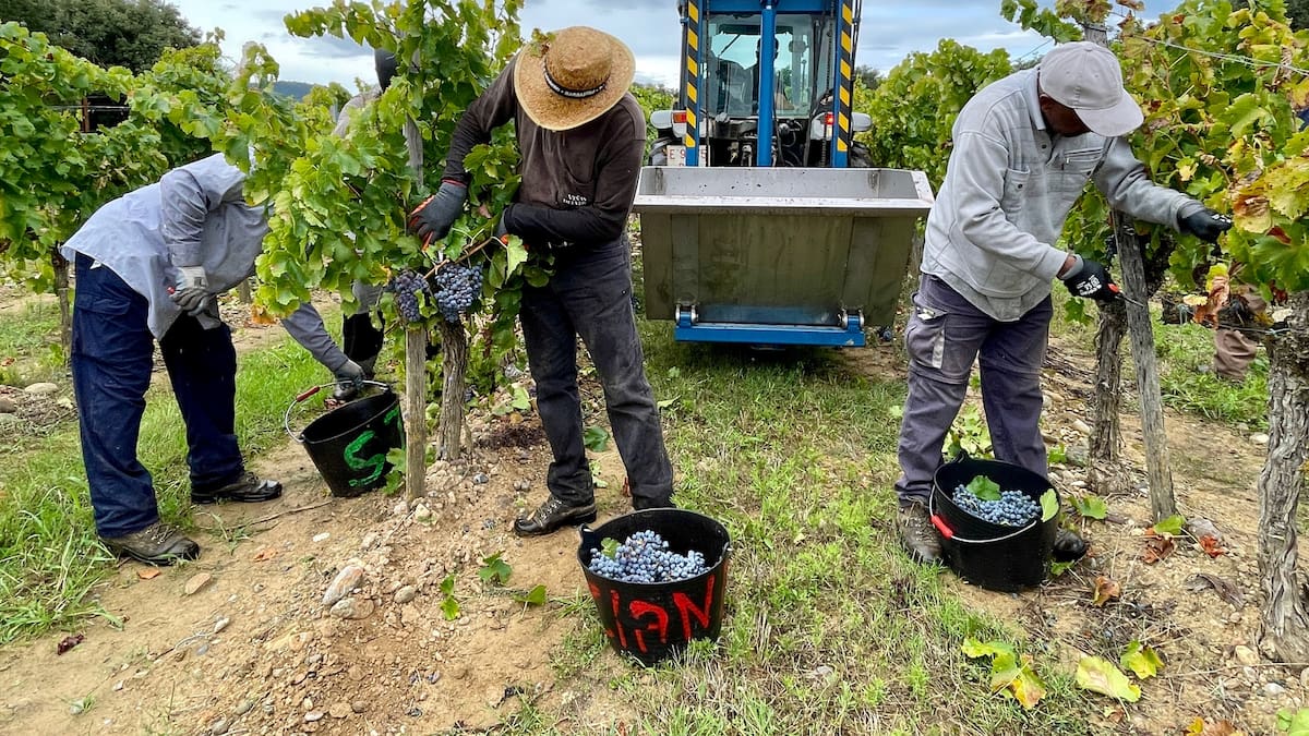 La Ventana de los números | El Banco de España alerta sobre el aumento de las bajas laborales