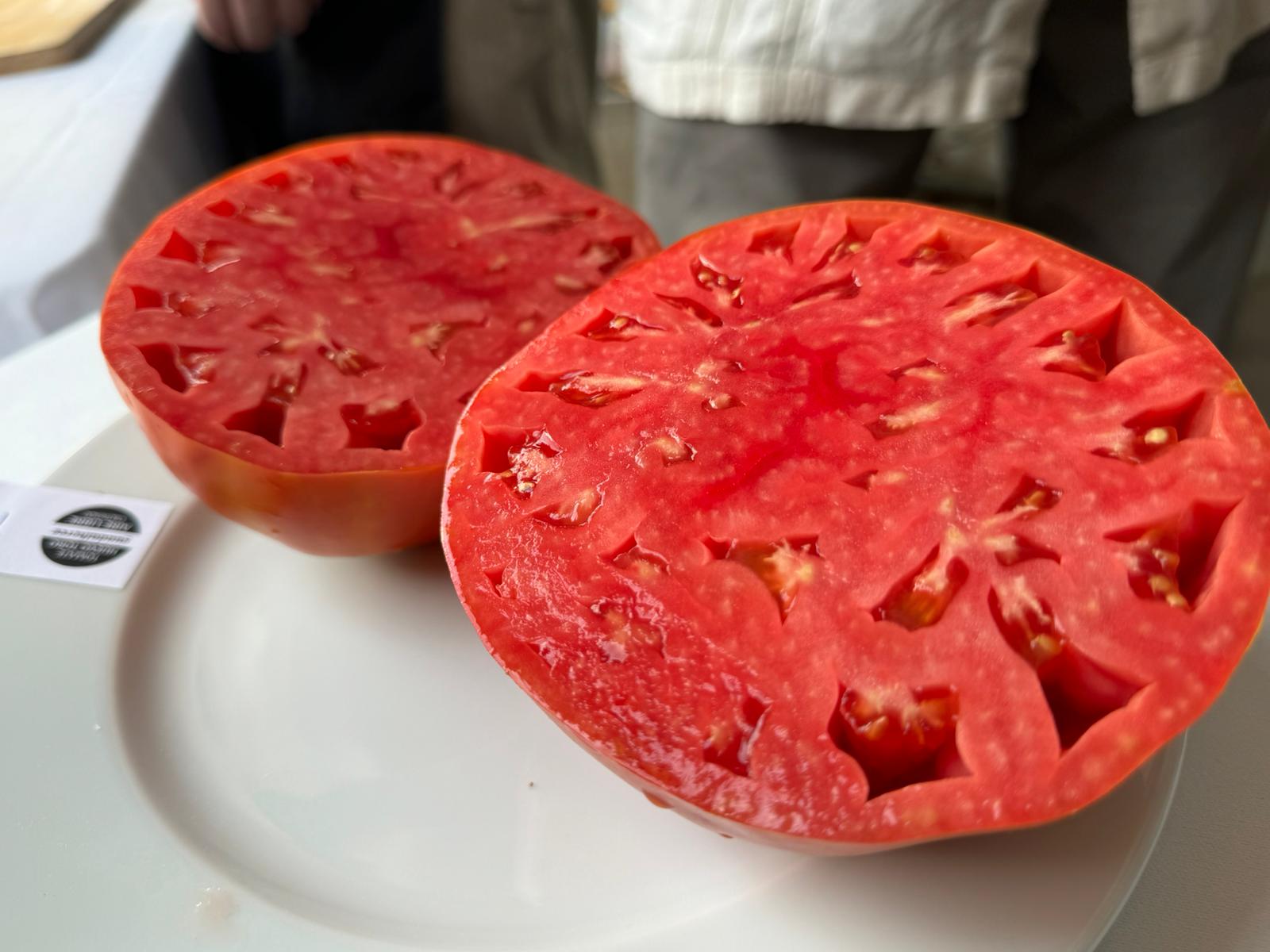 El tomate huevo toro que ha ganado el concurso en Coín (Málaga)