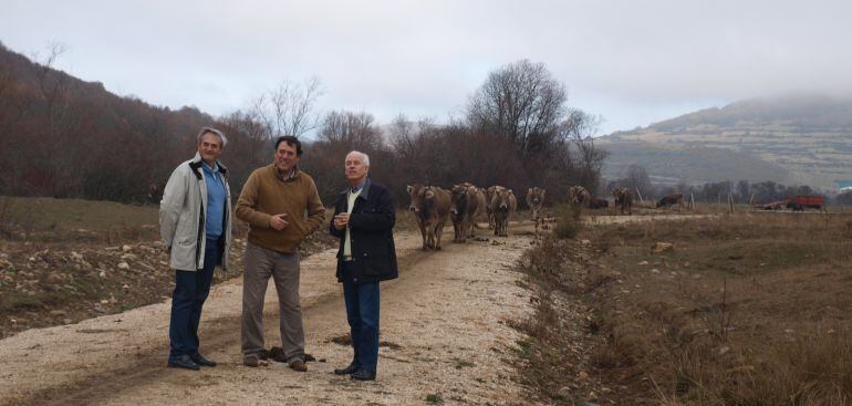 El delegado territorial de la Junta ha visitado las zonas en las que se ha intervenido