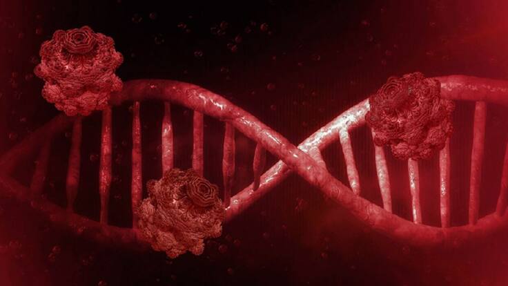 Entrevista a Santiago Santacruz, presidente del Colegio Oficial de Médicos