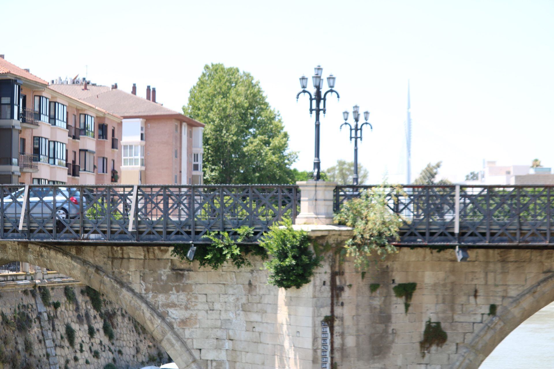 Imagen del Puente de los Peligros (Murcia), cuya vegetación será retirada