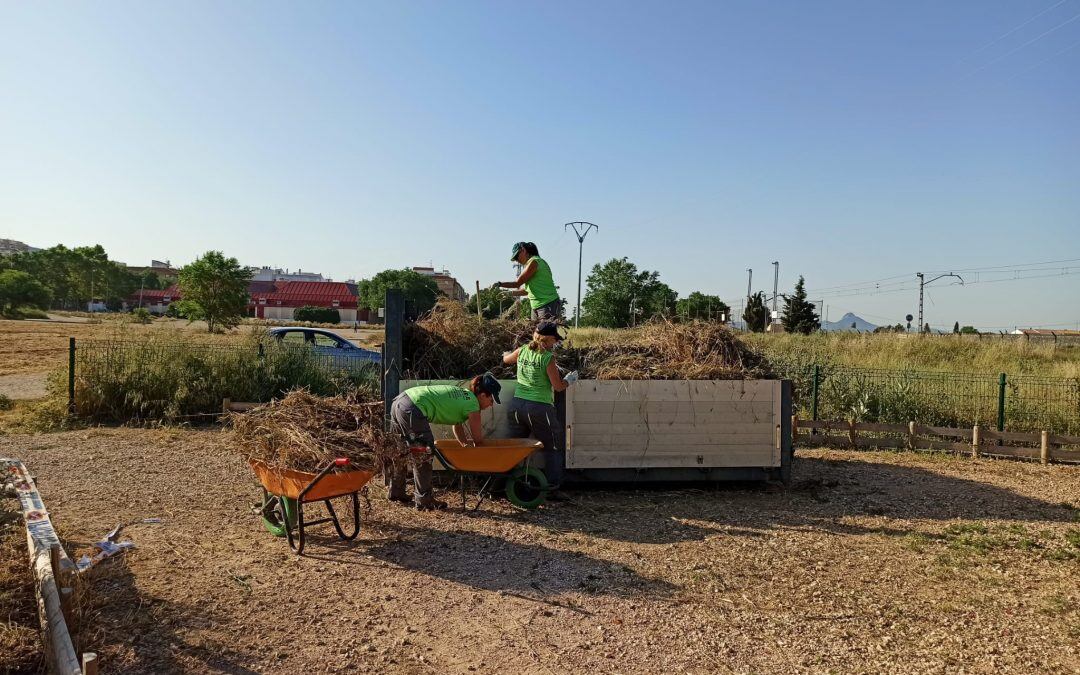 Trabajos de jardinería