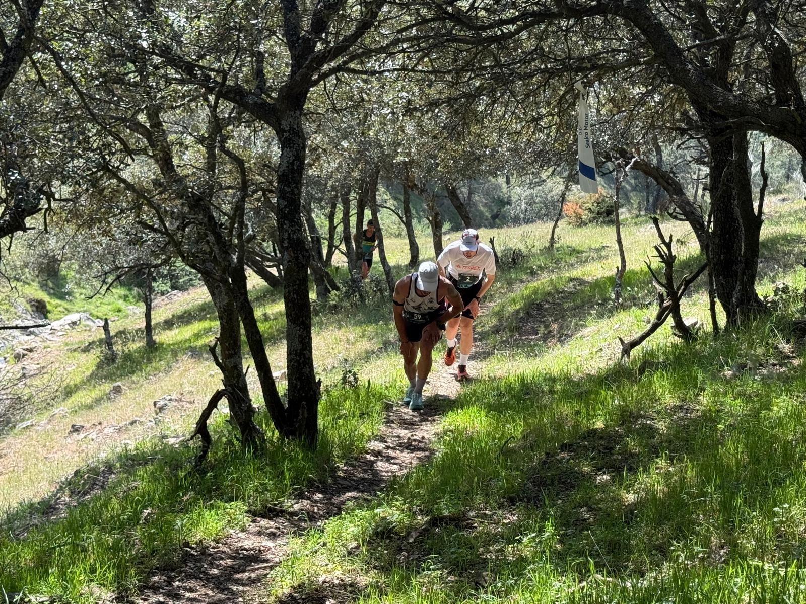 Cabeza de carrera de la categoría masculina