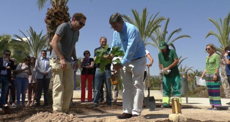 Bosque de los Honoris