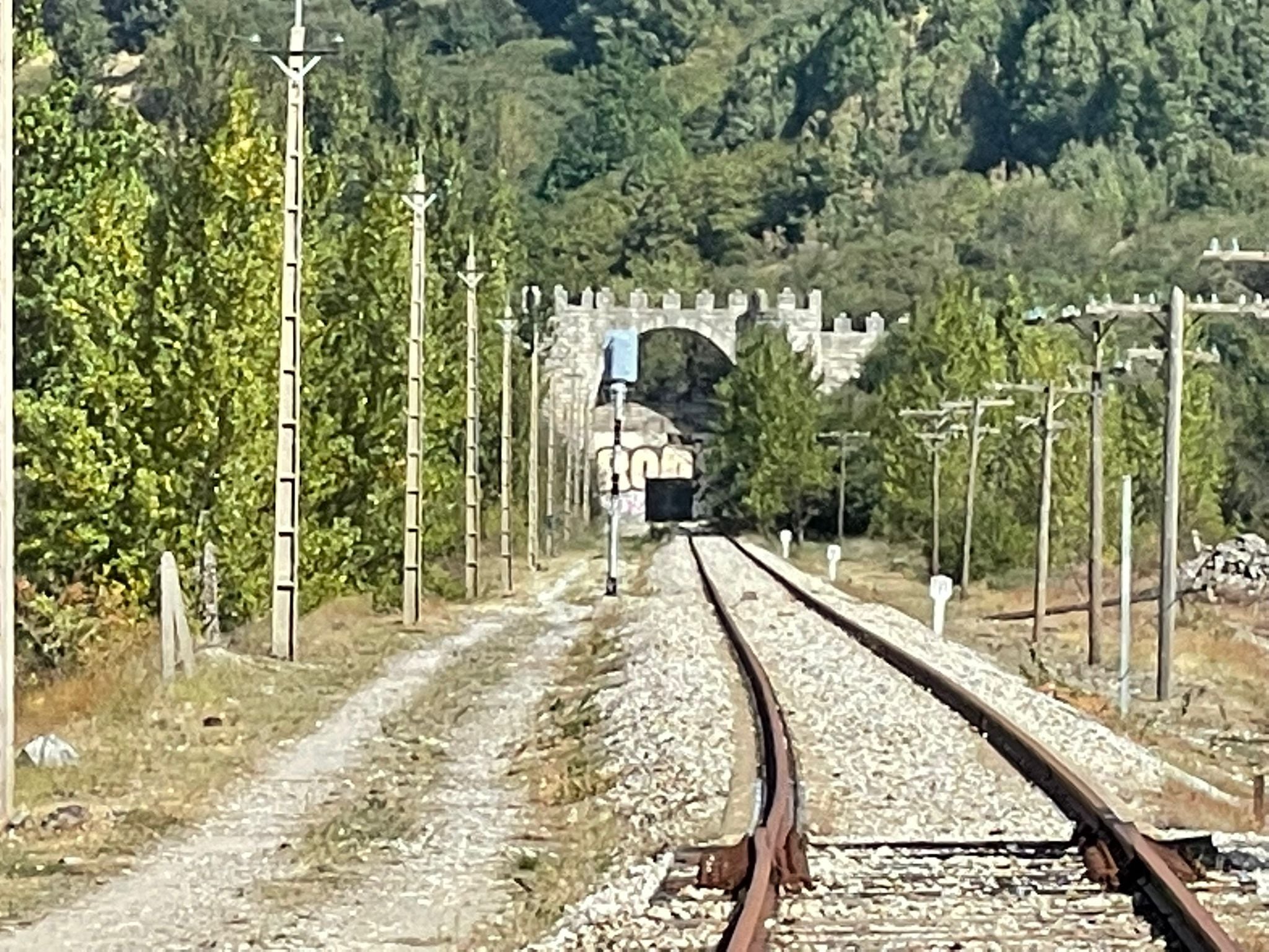 La vegetación crece sin control a lo largo de la línea del Tren Directo Madrid-Aranda-Burgos