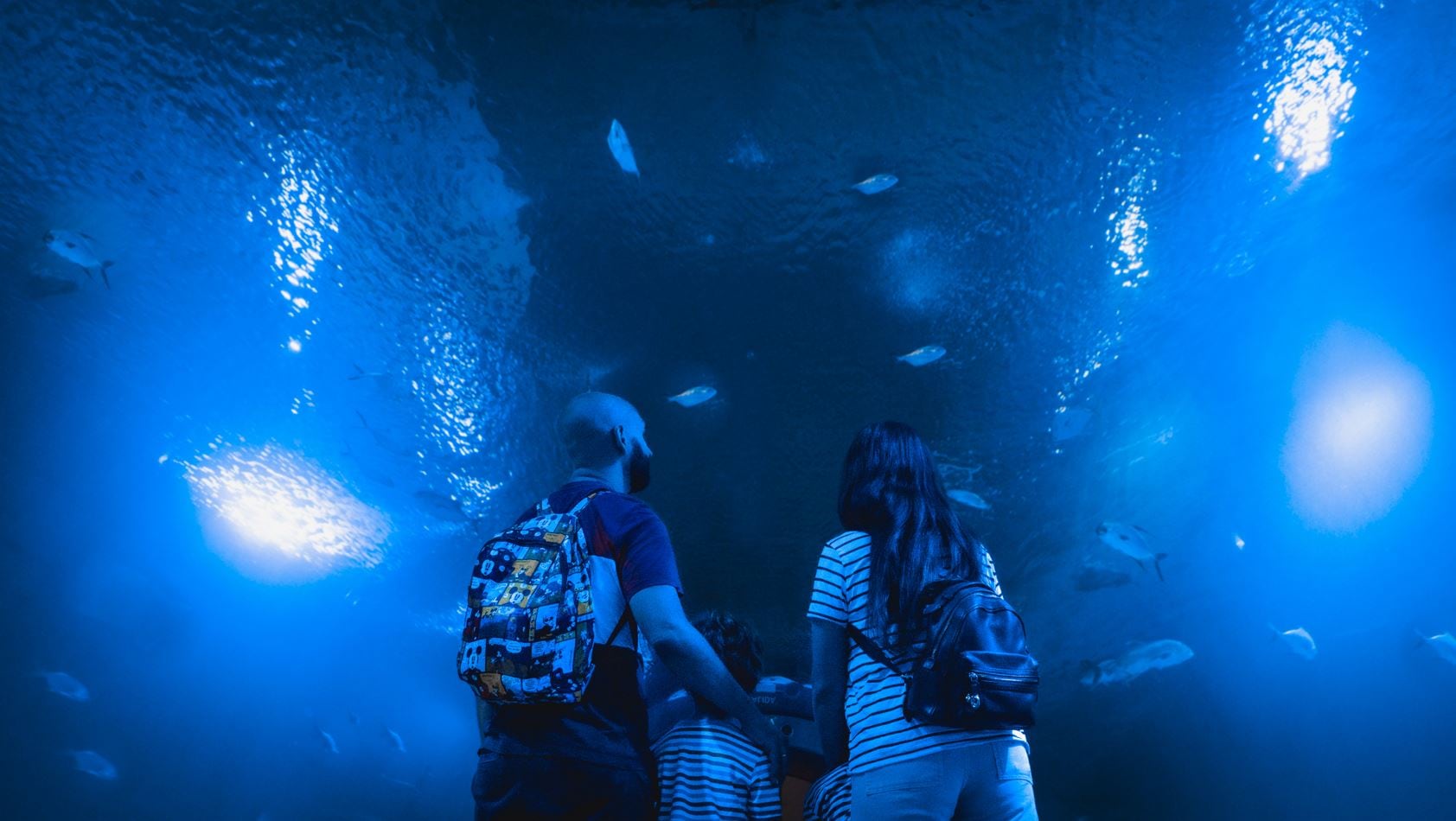 Familia en el túnel de los tiburones