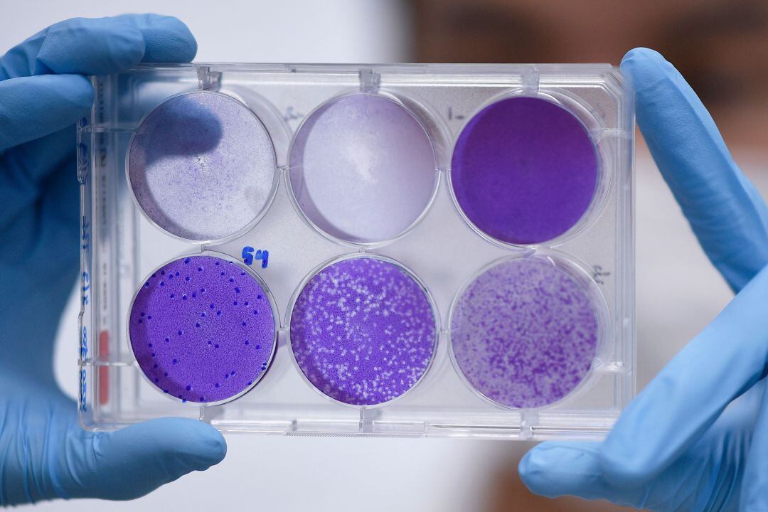 ¿Podría una vacunación no específica ser una estrategia efectiva con el Covid-19?