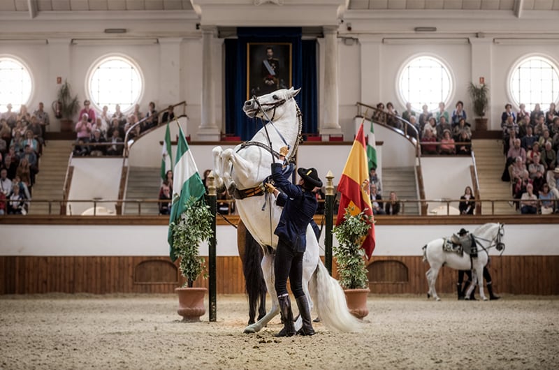 Espectáculo de la Real Escuela Andaluza del Arte Ecuestre