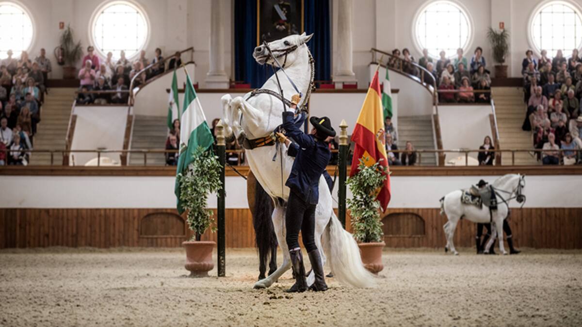 Real Escuela Arte Ecuestre