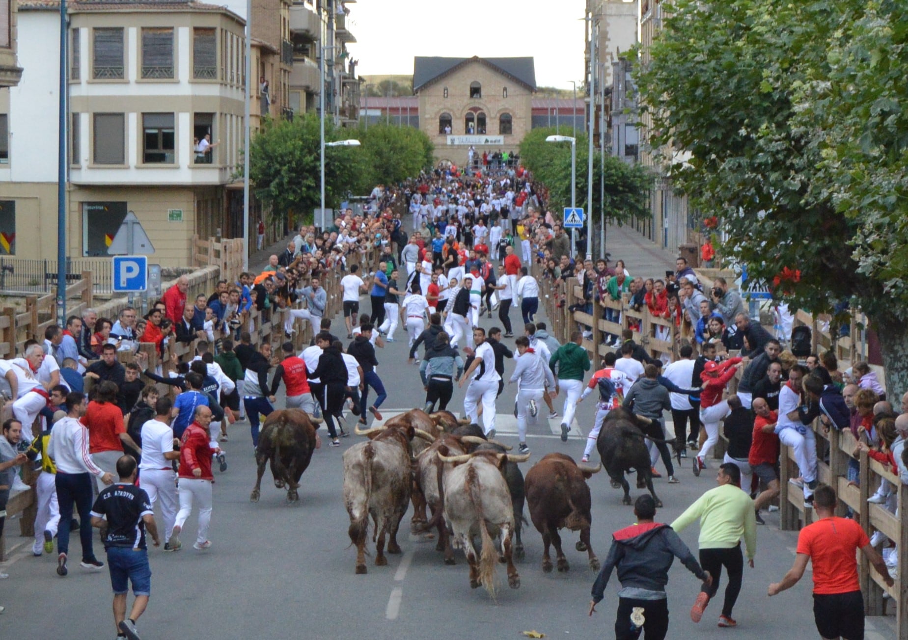 Menos corredores y público en el cuarto encierro de fiestas de Tafalla