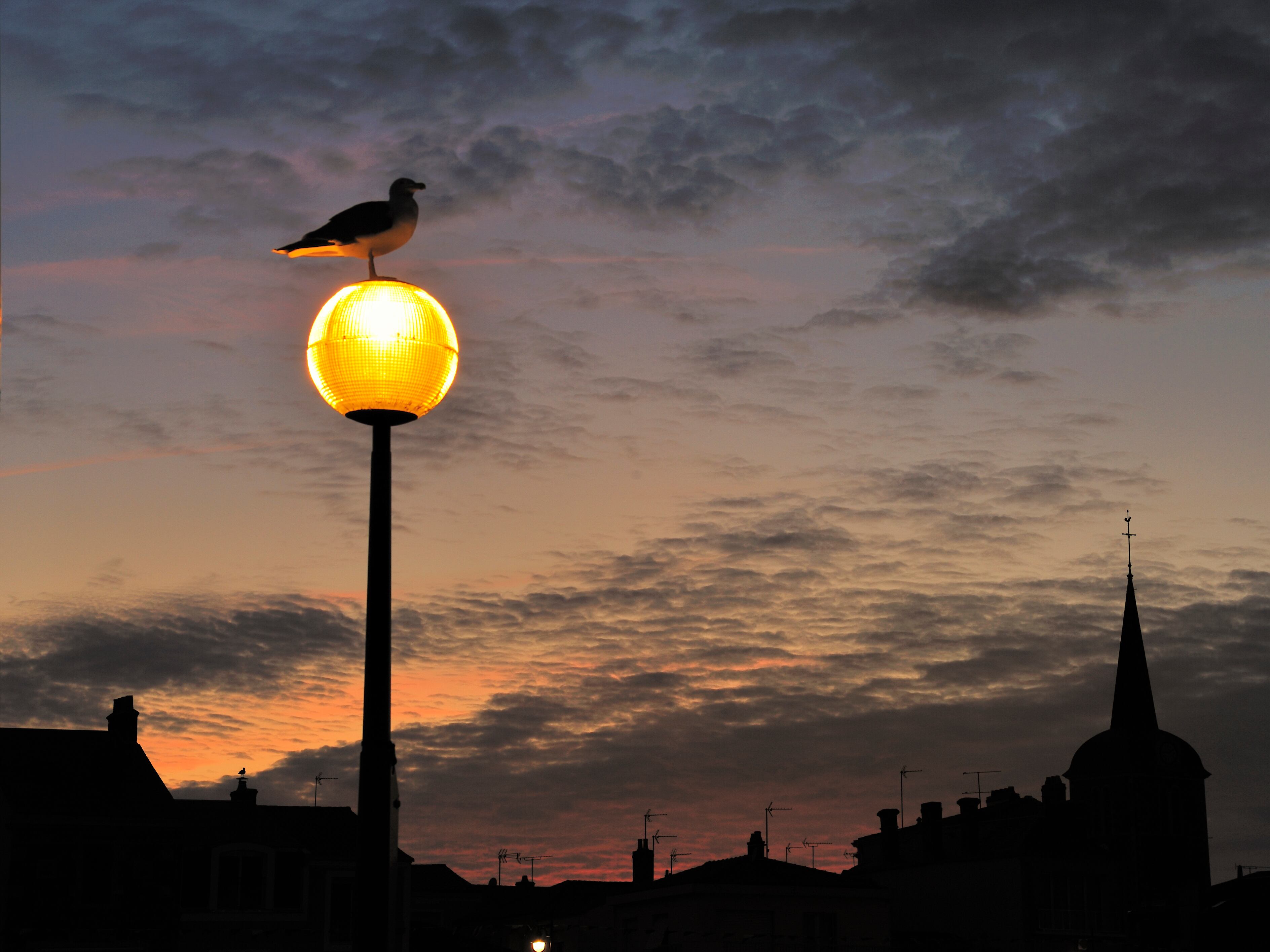 Imagen de archivo de luz urbana