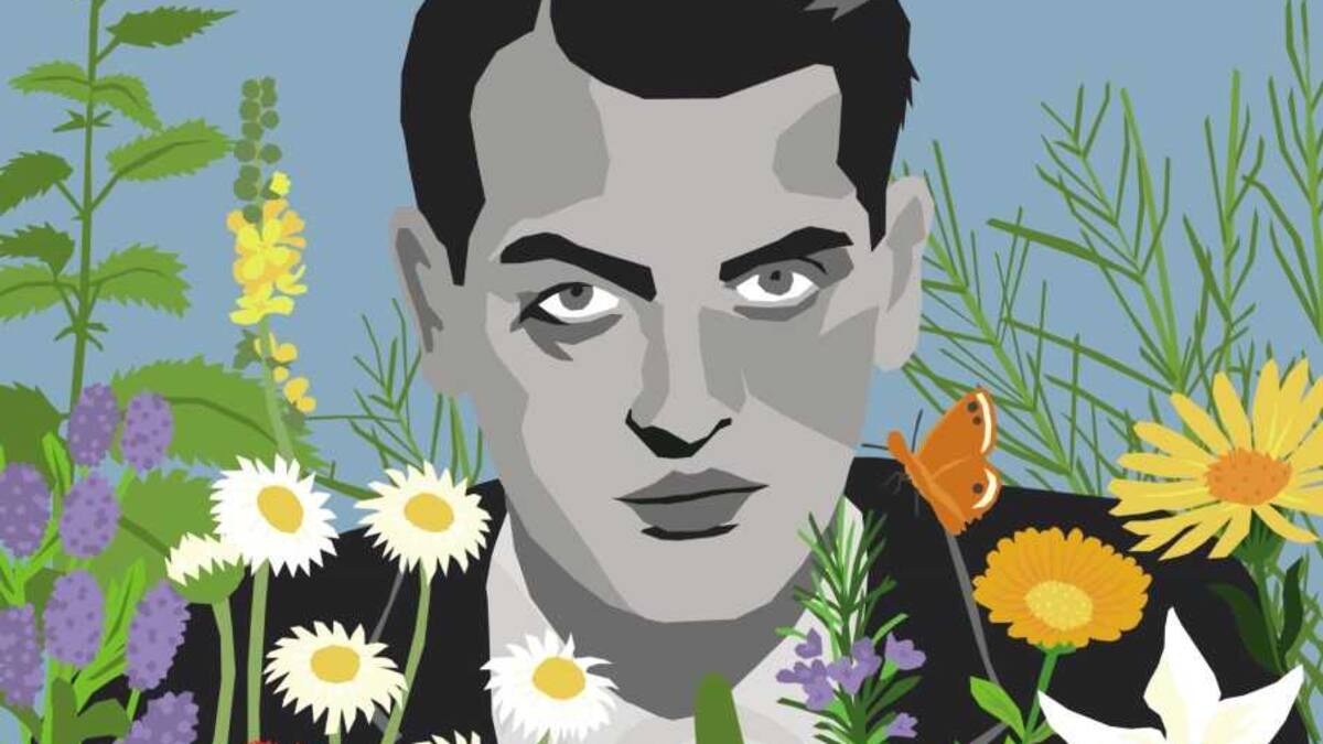 La Muestra de Cine más Pequeña del Mundo comienza en Ascaso