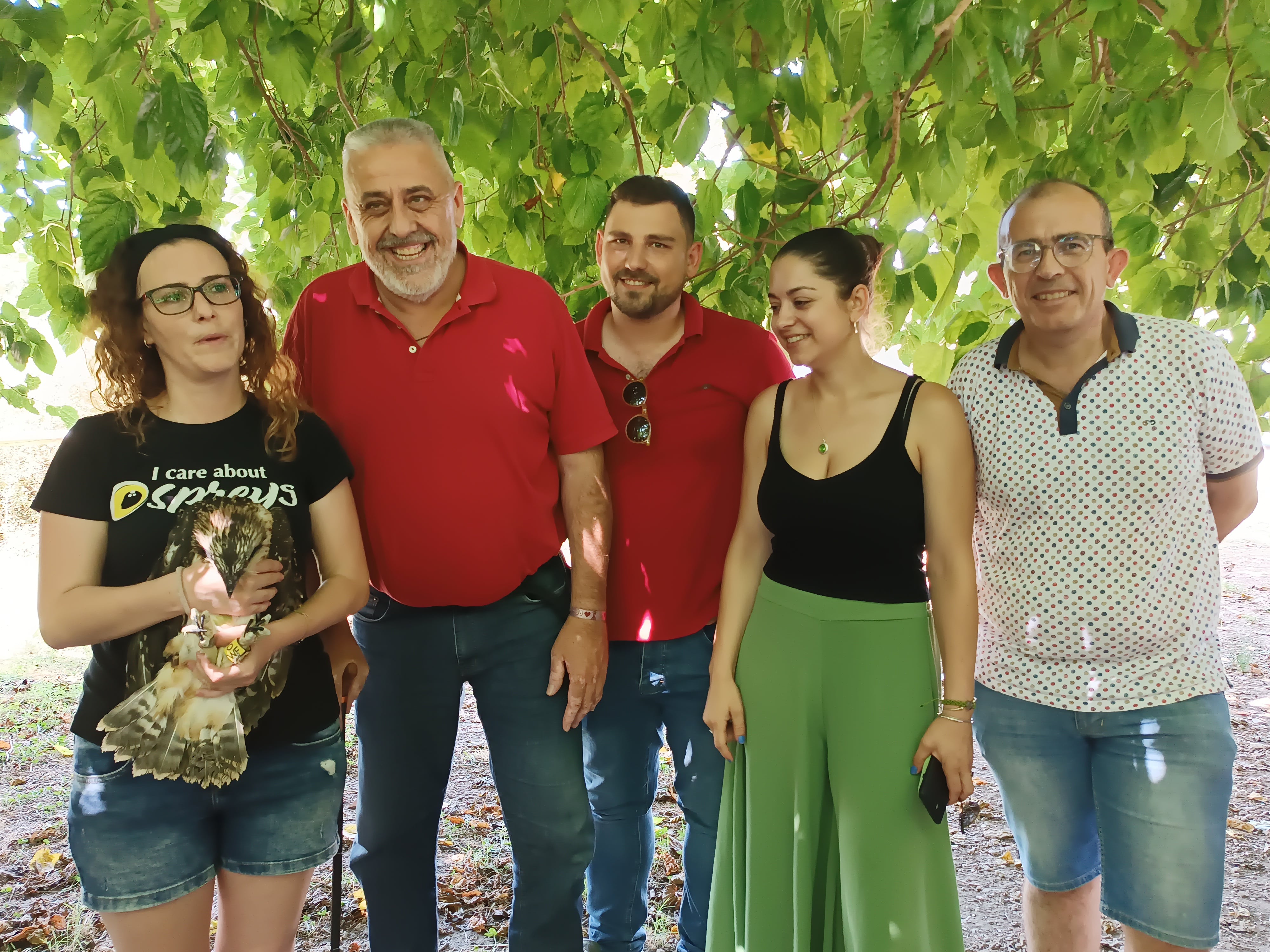 Momento de la introducción de 12 pollos de águilas pescadoras en la Marjal Pego-Oliva.