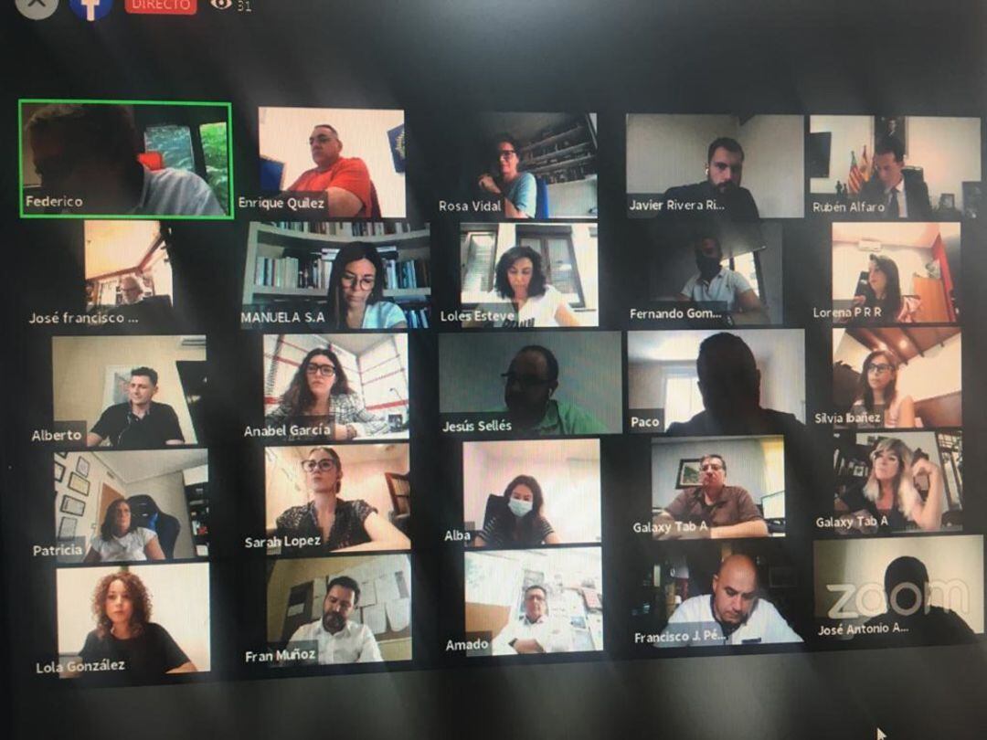 Pleno telemático en Elda