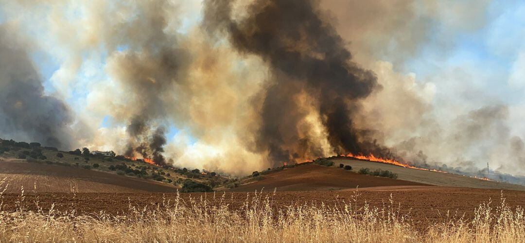 El incendio ha obligado a desalojar dos urbanizaciones