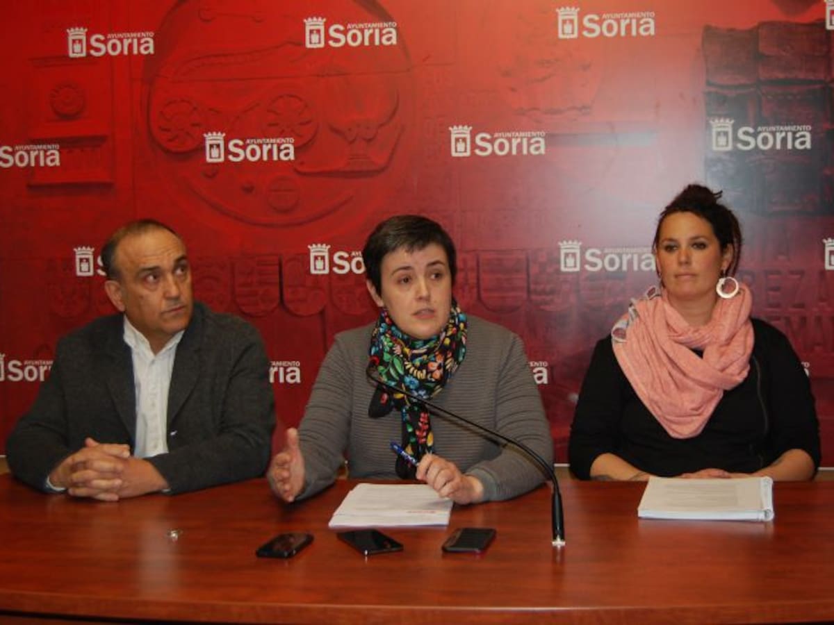 Ayuntamiento, Soria Adopción y Colegio de Veterinarios controlarán la colonia de gatos callejeros