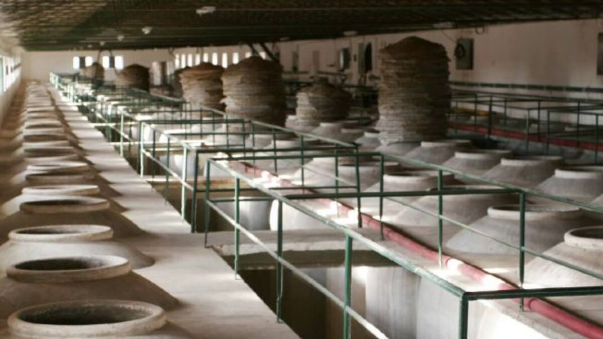 Ebesa, historia de una familia