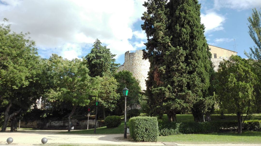 La muralla medieval de Zamora a la altura del conocido como &quot;Sillon de la Reina&quot;, practicamente invisible por el arbolado