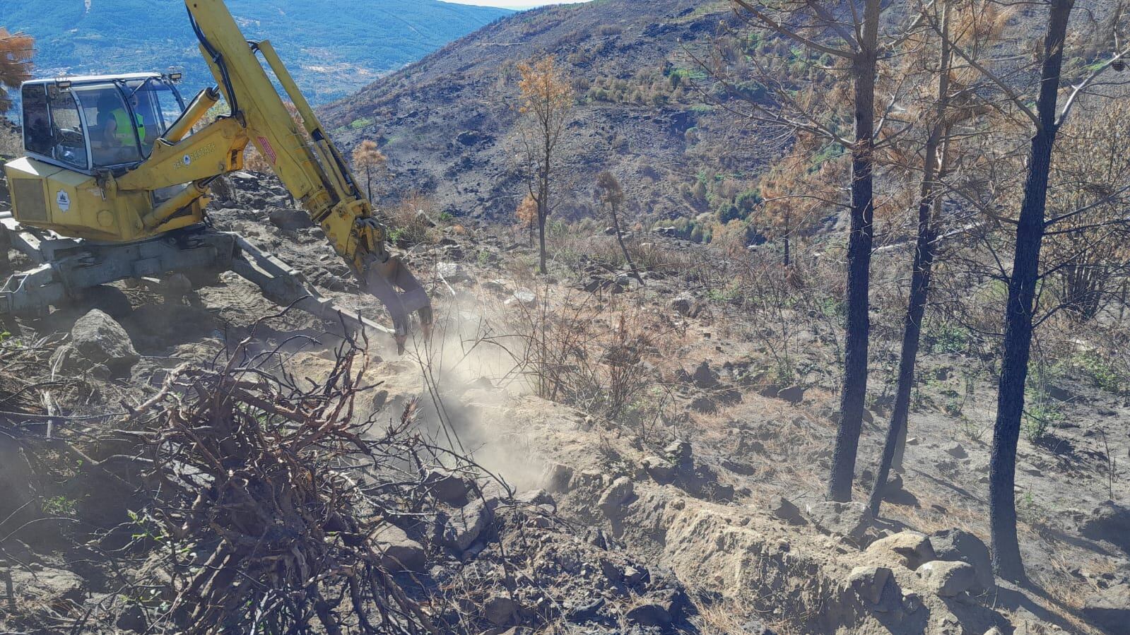 Realización de los trabajos