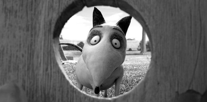 Spike, el perro protagonista de &#039;Frankenweenie&#039;, lo nuevo de Tim Burton.