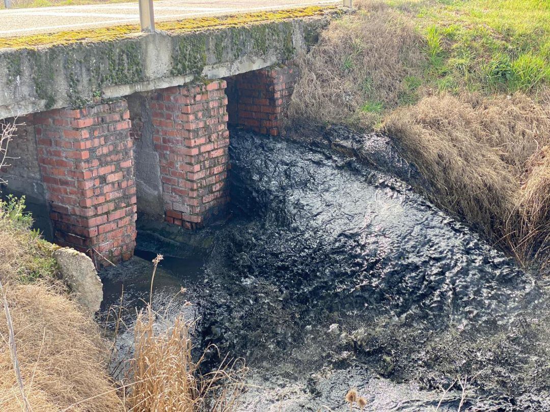 Aspecto que presentaba el arroyo tras el vertido del pasado fin de semana