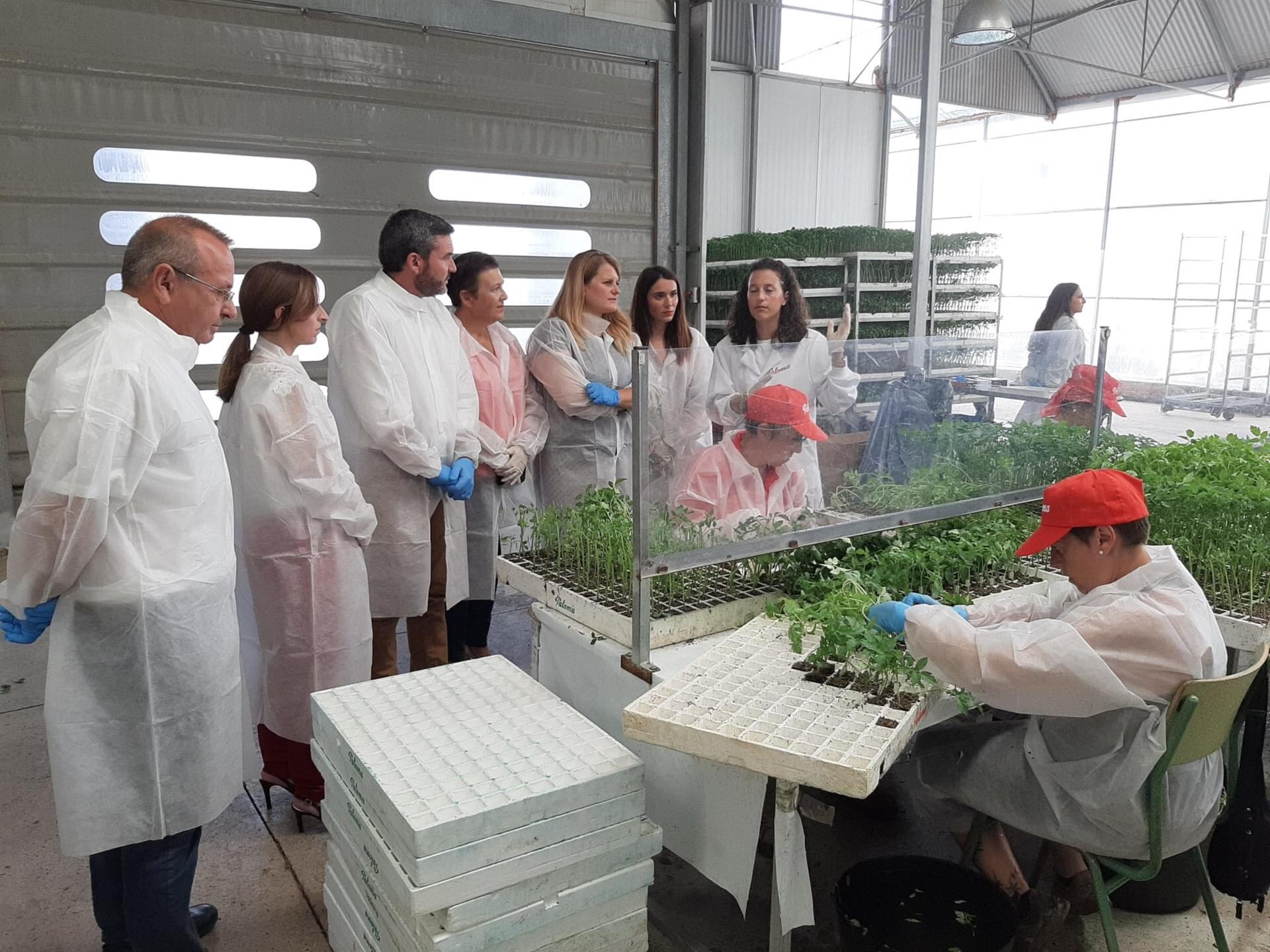 Antonio Luengo durante la visita a un semillero del Grupo Paloma en Mazarrón