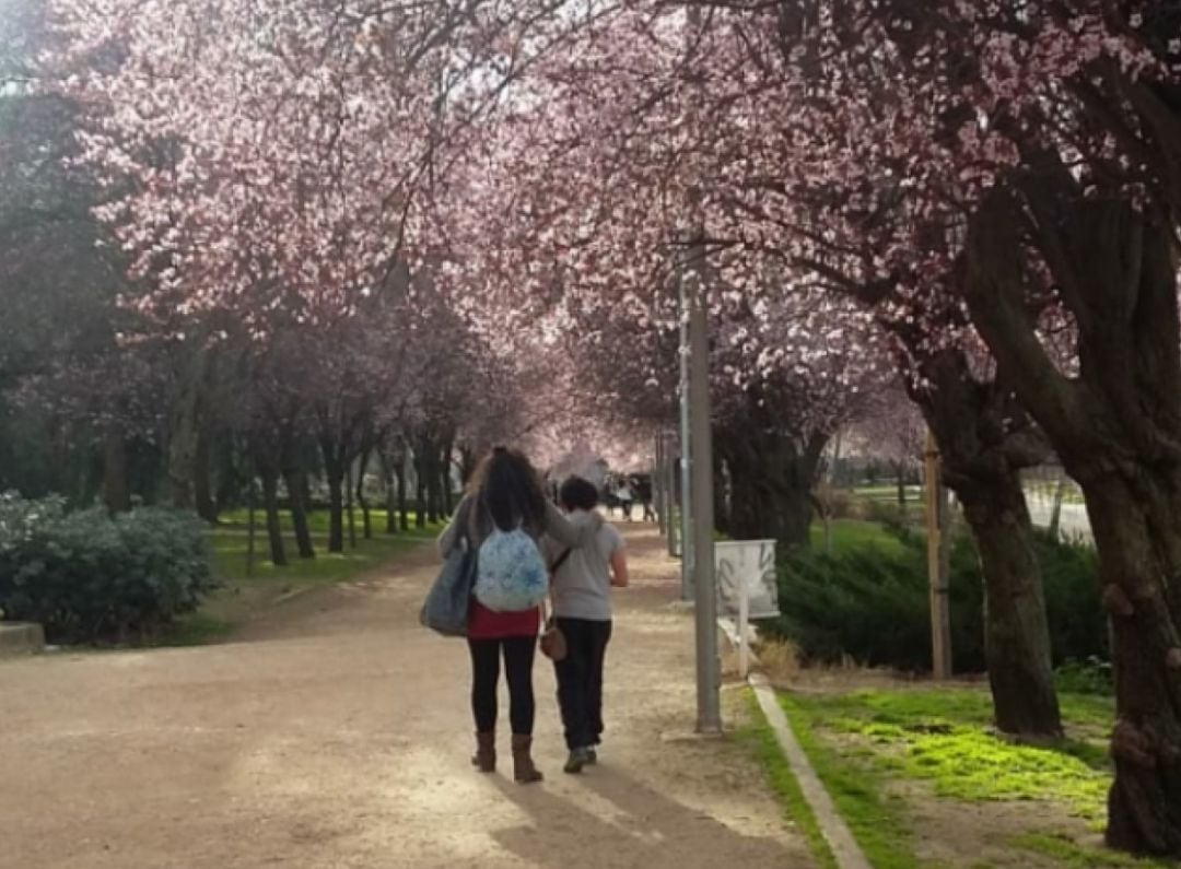 Isabel y su hijo pasean en un parque de Madrid. 