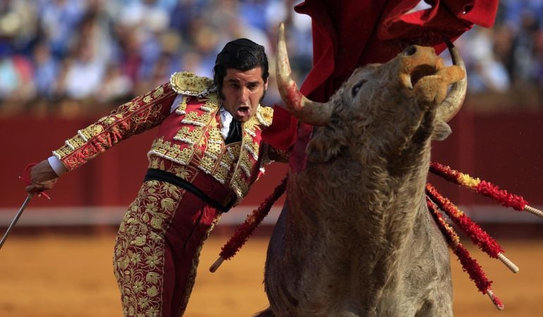 José Antonio &#039;Morante de La Puebla&#039; será el único matador de toros sevillano en la próxima feria de Olivenza (Badajoz)