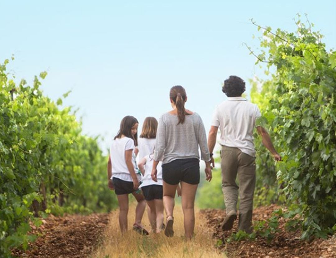 La Ribera del Duero es destino de turismo familiar