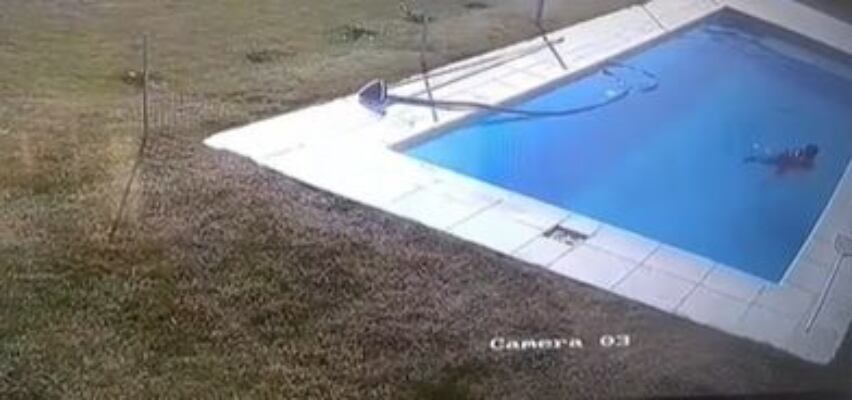 Niño de cinco años evita que su perro se ahogue en una piscina