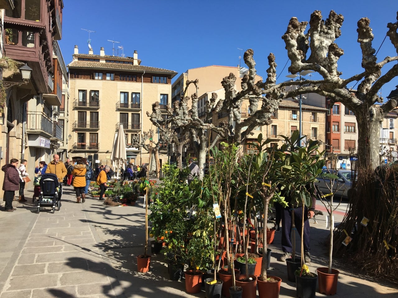 Puestos de injertos, plantas y flores en las ferias de febrero de Tafalla