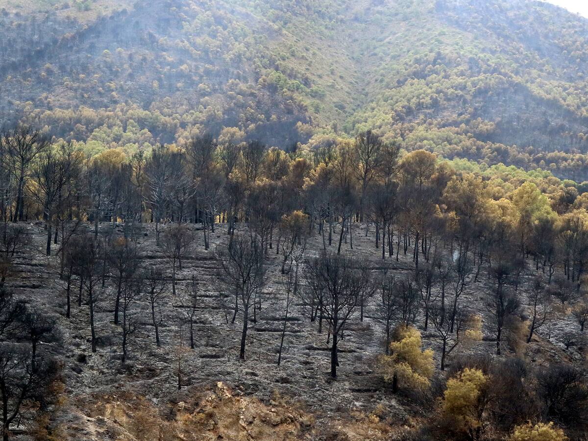 Estabilizado el incendio forestal de Los Guájares tras calcinar 5.100 hectáreas
