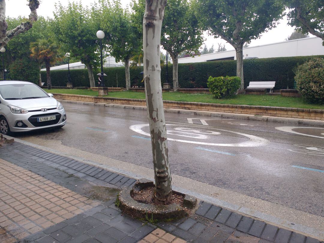 Calle Nicolás Rabal