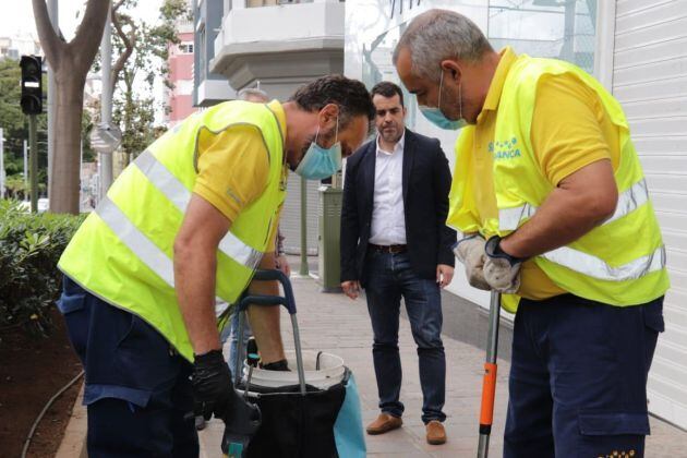 Plaga de ratas en Santa Cruz de Tenerife