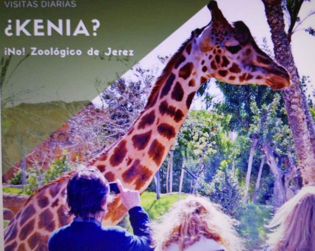 Una de las imágenes de la campaña