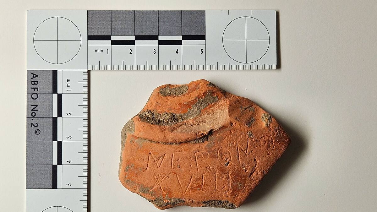 Miguel Loza, arqueólogo, sobre los grafitos falsificados en Álava