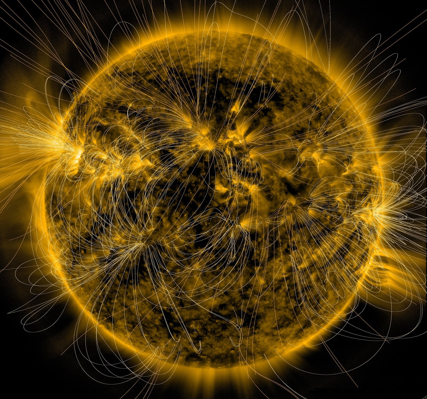 Esta ilustración muestra una representación de los campos magnéticos del sol sobre una imagen capturada por el Observatorio de Dinámica Solar de la NASA