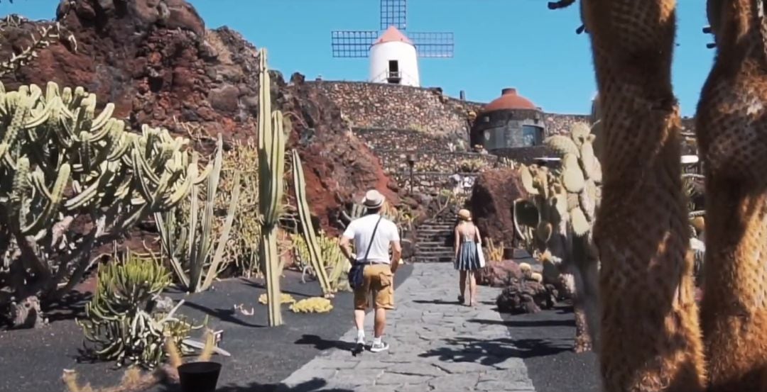 Imagen de archivo del Jardín de Cactus. 