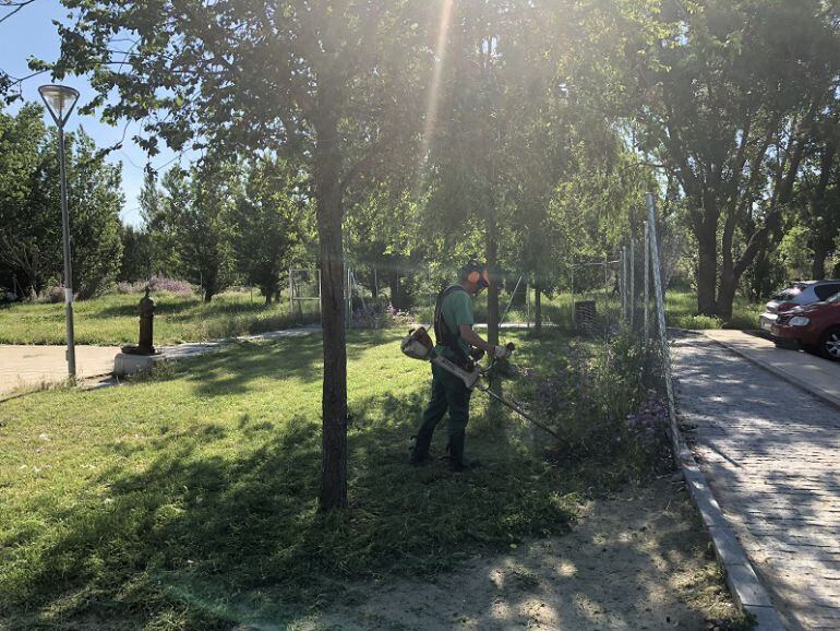 Tareas de desbroce en una de las zonas de la capital