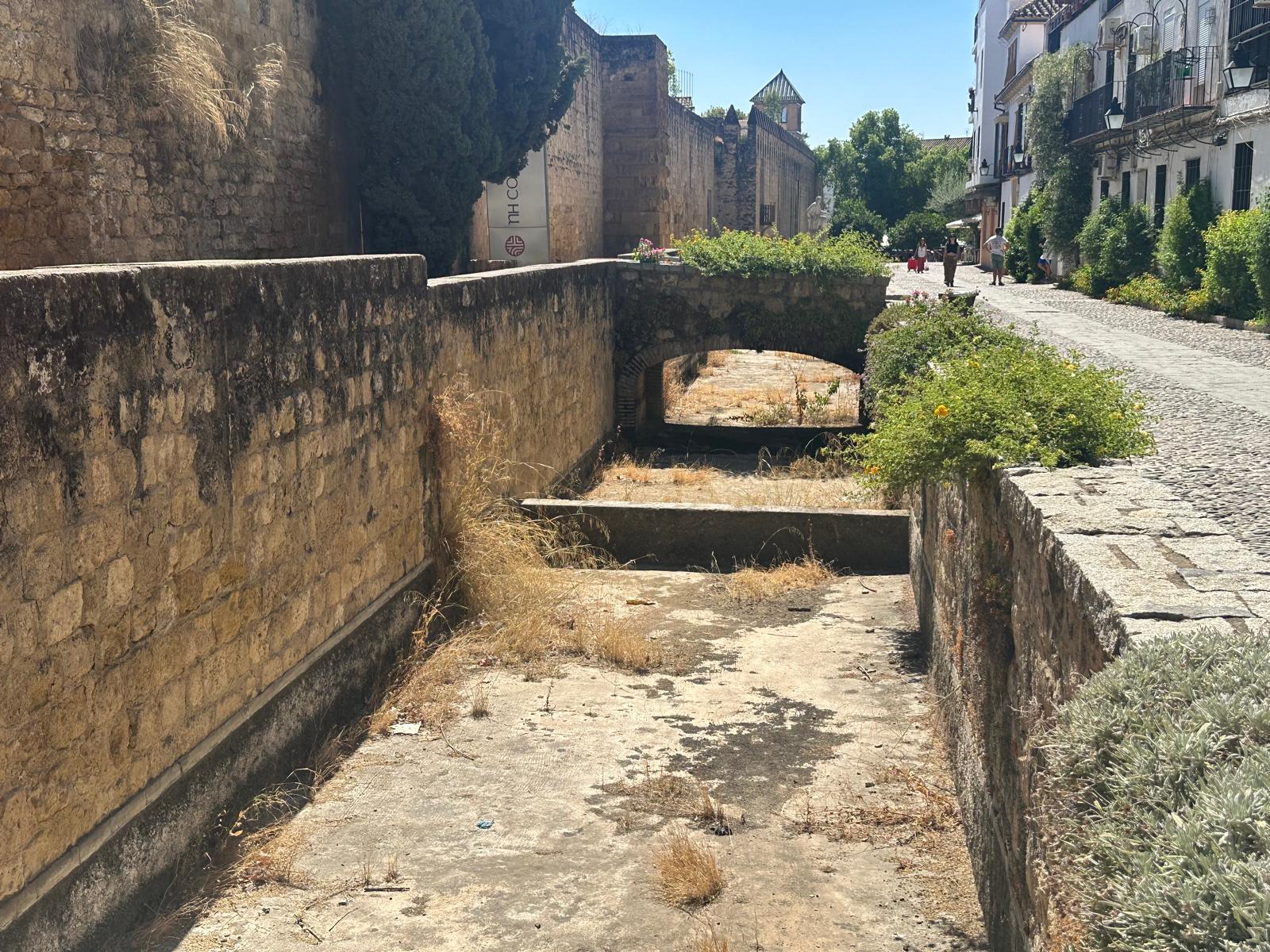 Estado actual del estanque junto a la muralla (Hacemos Córdoba)